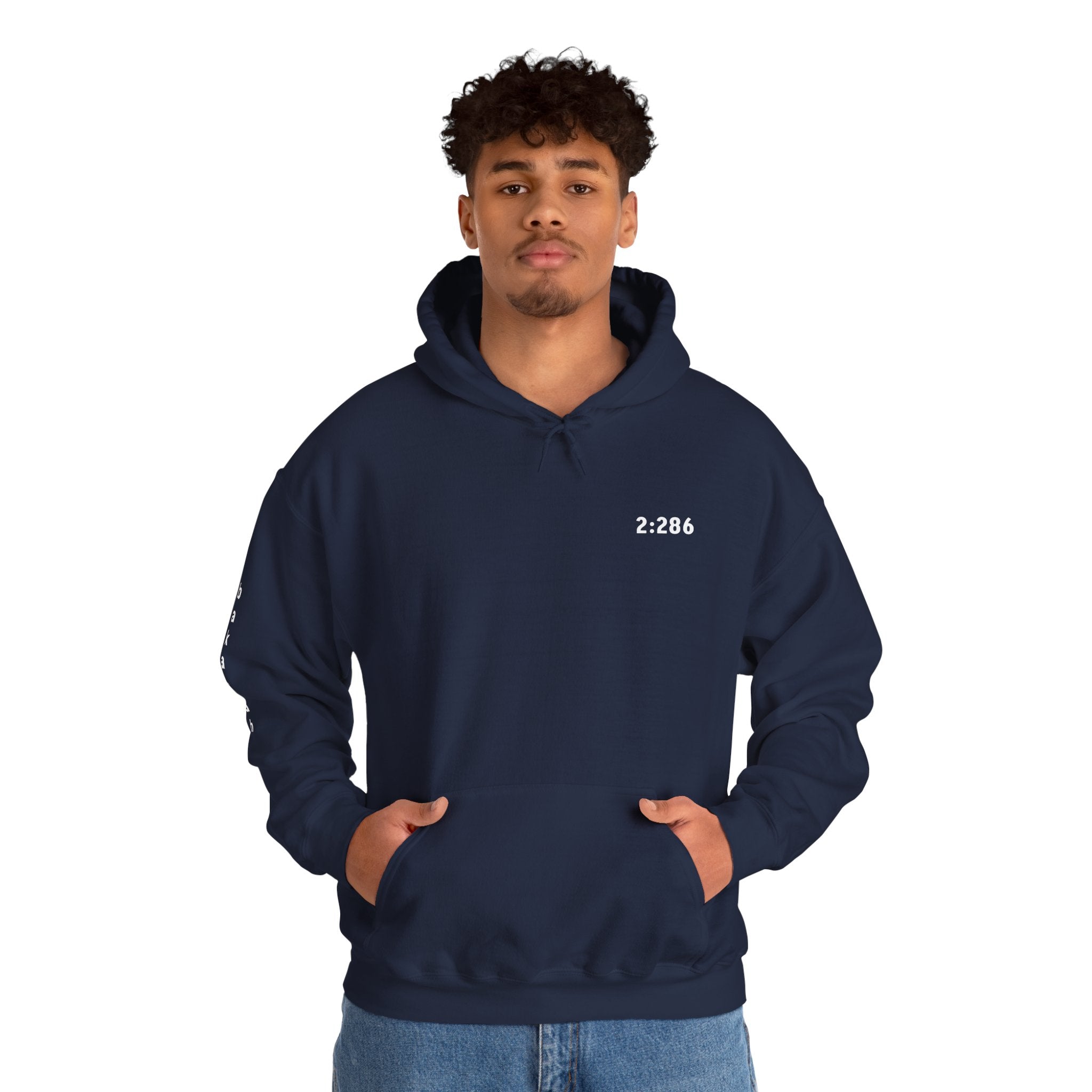 Inherent Resilience - 2:286 - Coded Collection - Cozy Classic Hoodie