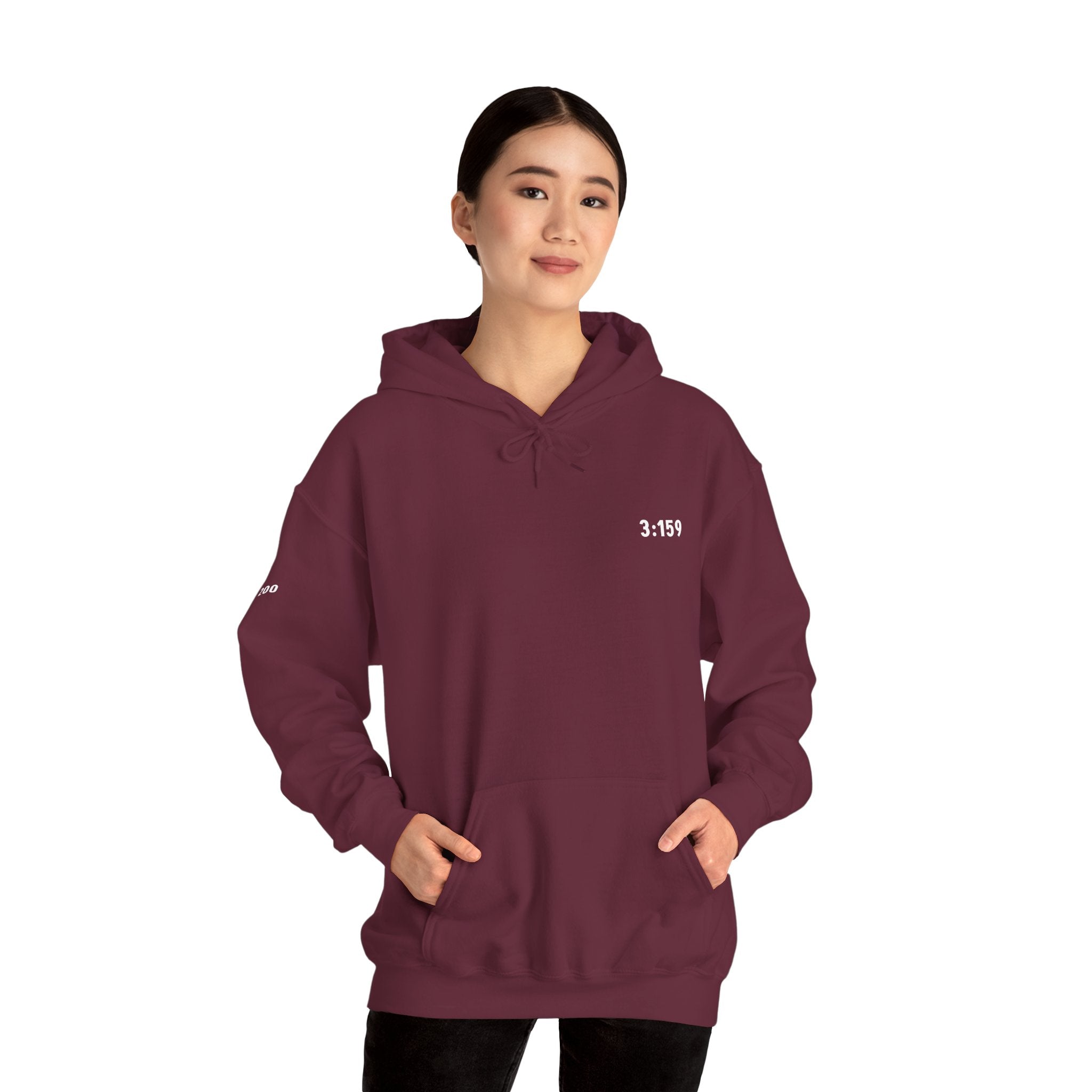 3:159 - C2 - Cozy Classic Hoodie