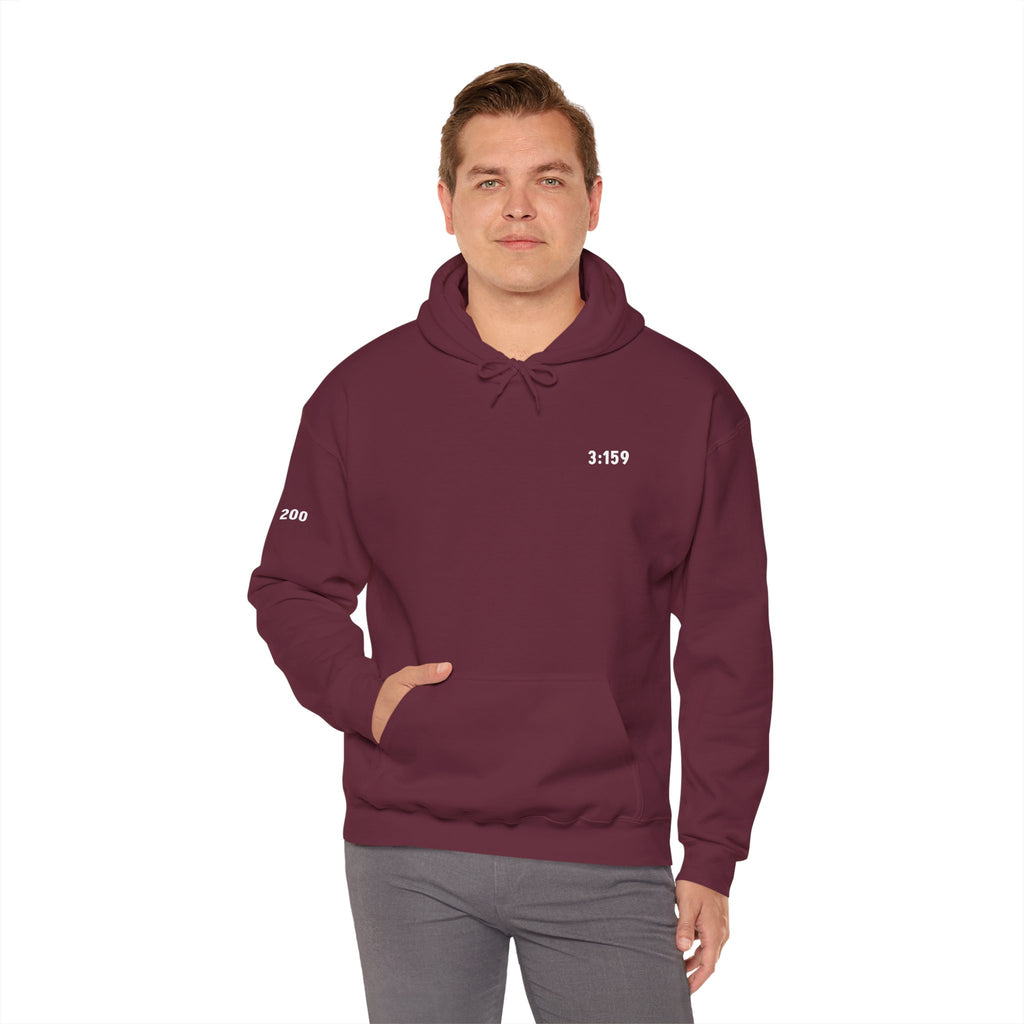 3:159 - C2 - Cozy Classic Hoodie