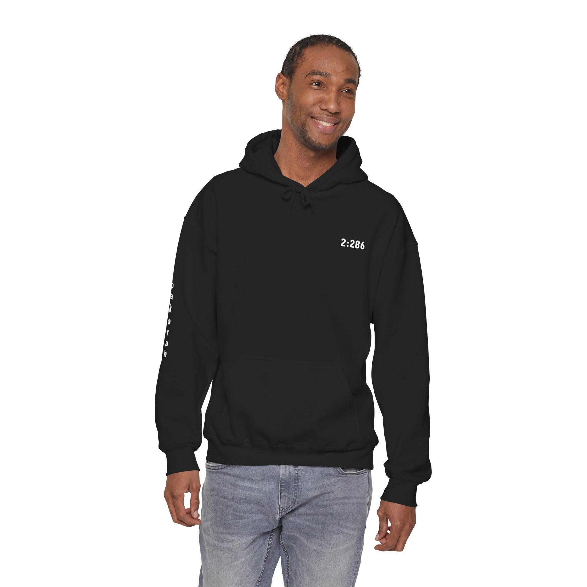 Inherent Resilience - 2:286 - Coded Collection - Cozy Classic Hoodie